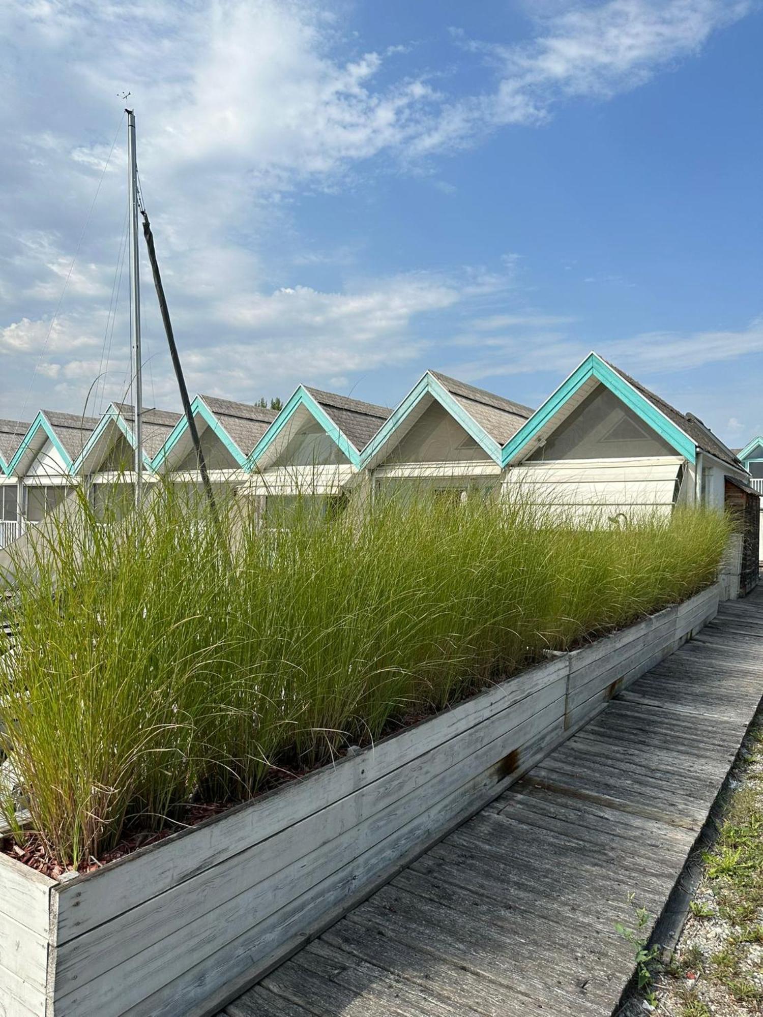 Haus Am See นอยซีเดิลอัมเซ ภายนอก รูปภาพ